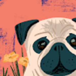 Meet your Posher, Noah